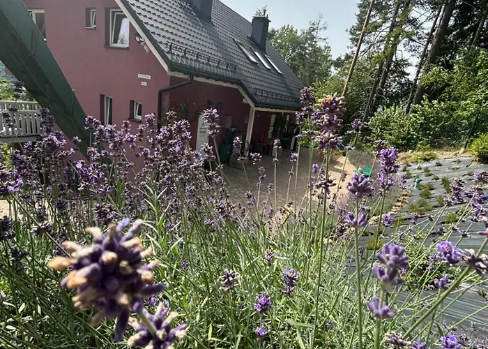Apartamenty Lavender Hill