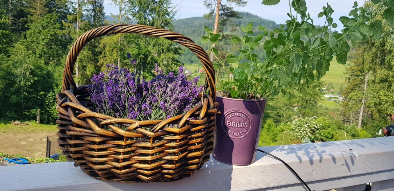 Lavender Hill Вісла