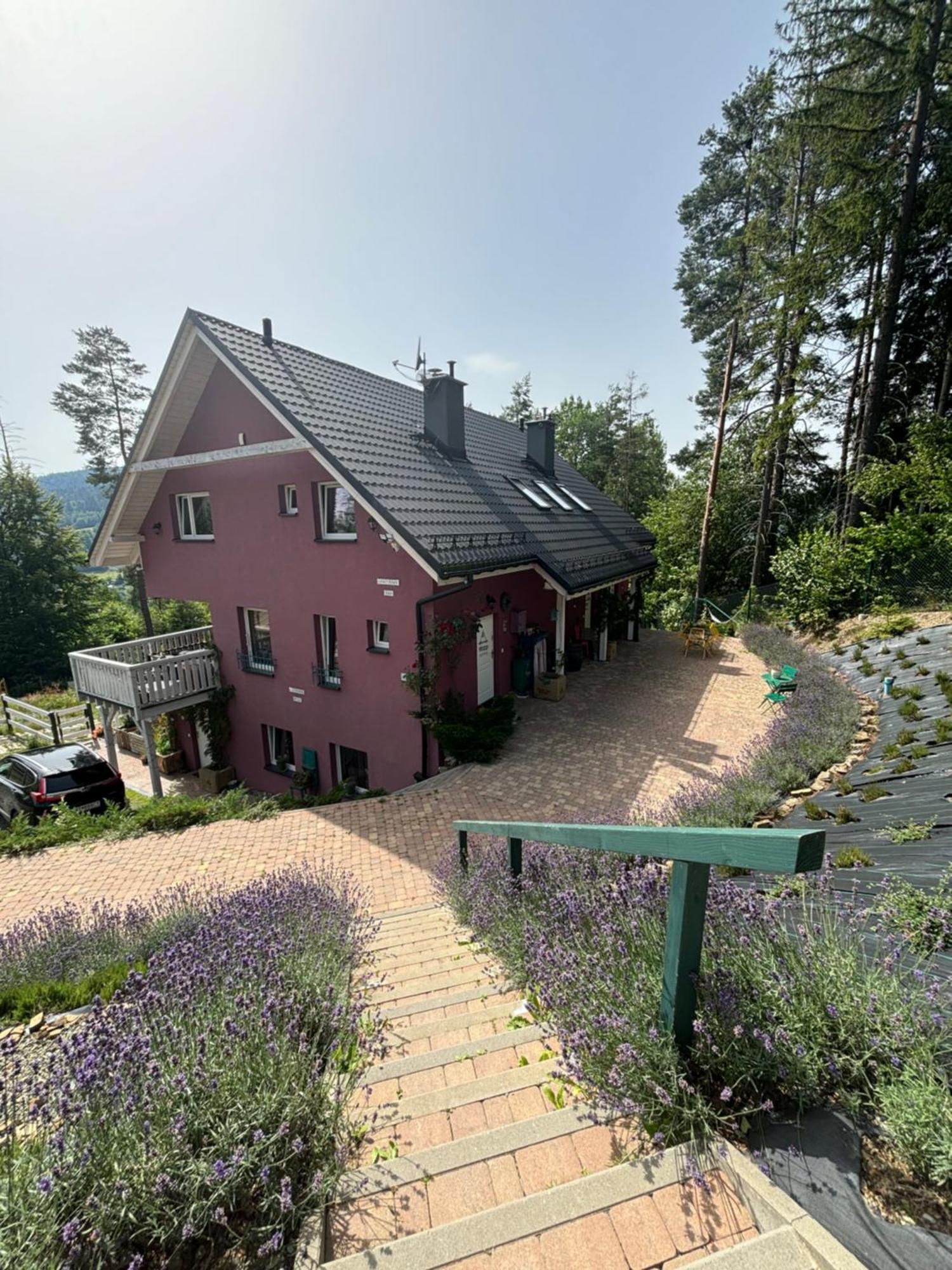 Lavender Hill Апартаменти