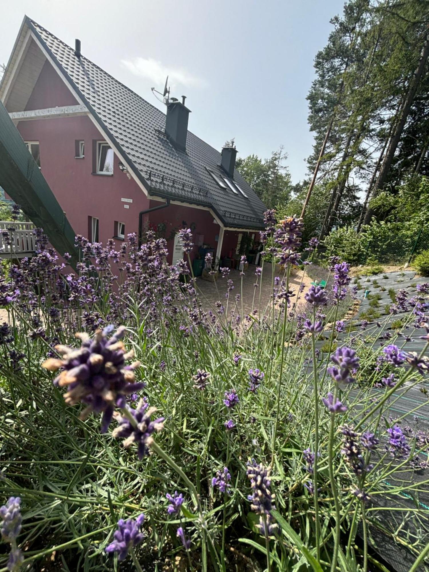 Lavender Hill